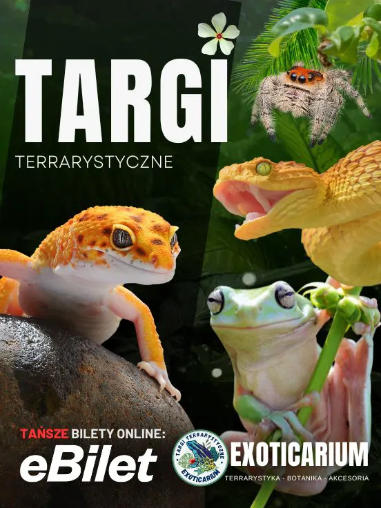 Exoticarium - Targi Terrarystyczne, plakat wydarzenia