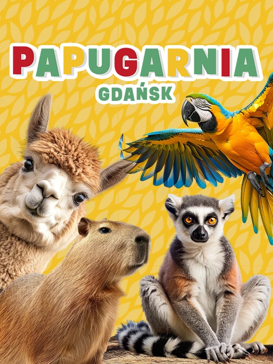 Papugarnia w Gdańsku, plakat wydarzenia