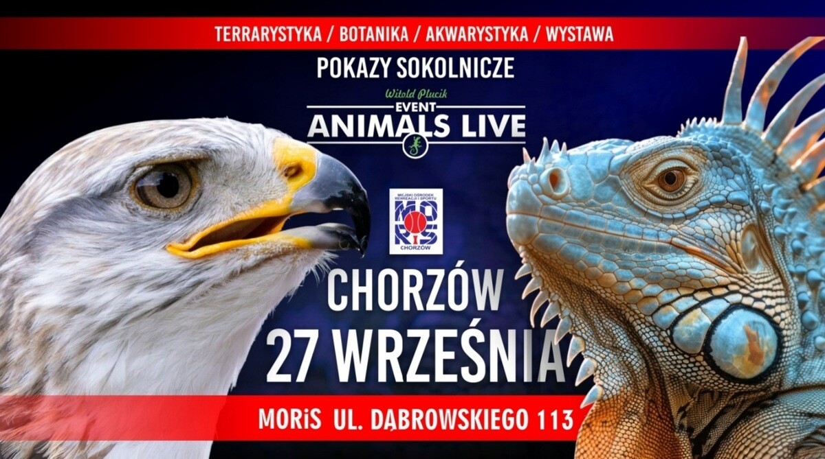 Animals Live CHORZÓW 27 Września 2026 - Terrarystyka & Sokolnicy & Akwarystyka & Botanika