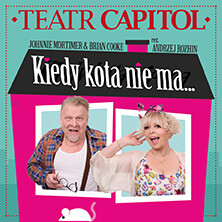 Spektakl: Kiedy kota nie ma, plakat wydarzenia