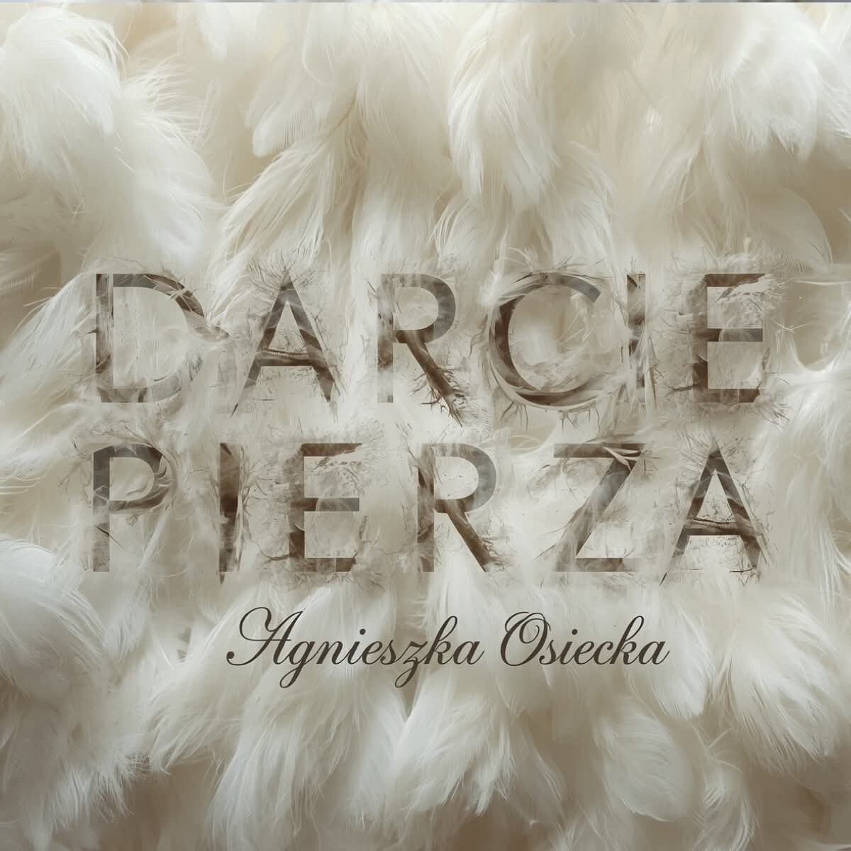 Darcie Pierza - PREMIERA, plakat wydarzenia