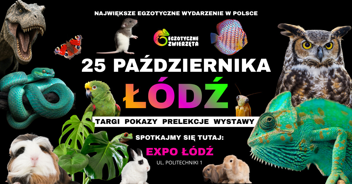 ŁÓDŹ 25 PAŹDZIERNIKA - EGZOTYCZNE ZWIERZĘTA, plakat wydarzenia