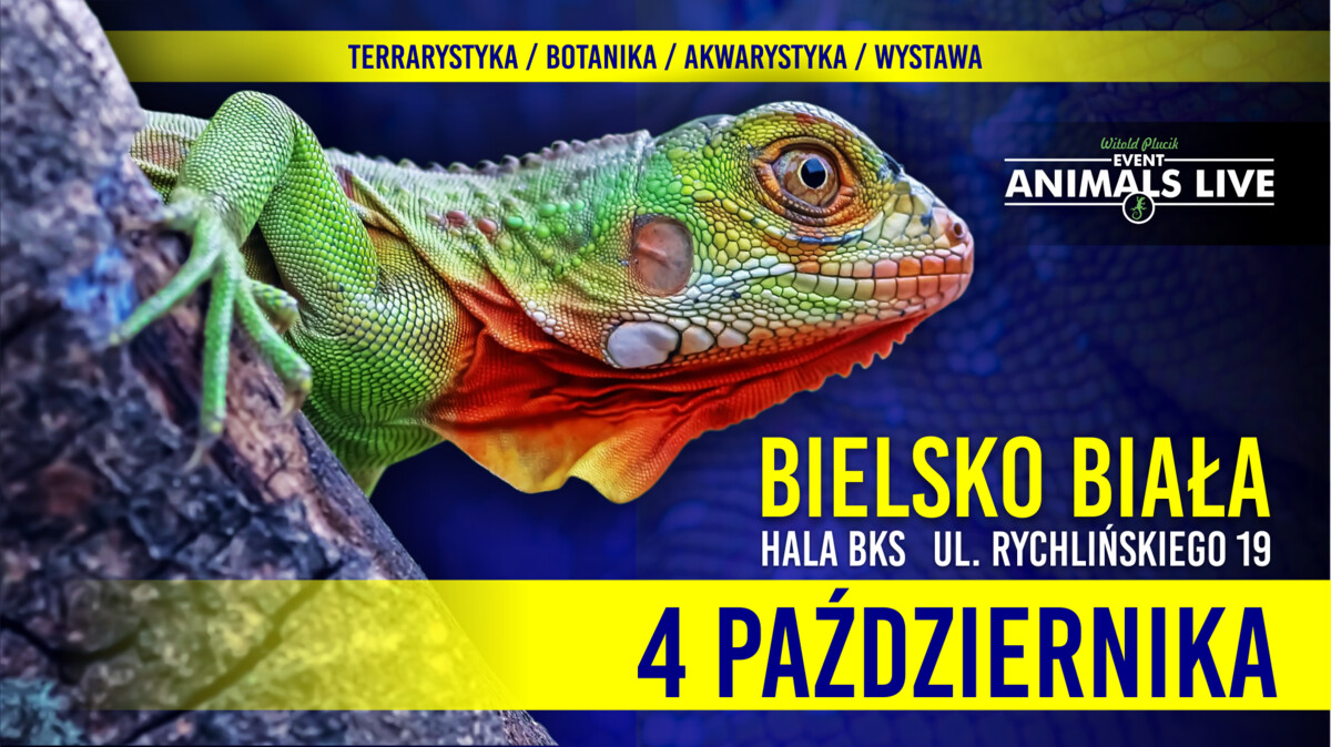 Animals Live BIELSKO-BIAŁA 4 Października 2026 Terrarystyka & Akwarystyka & Botanika & Wystawy