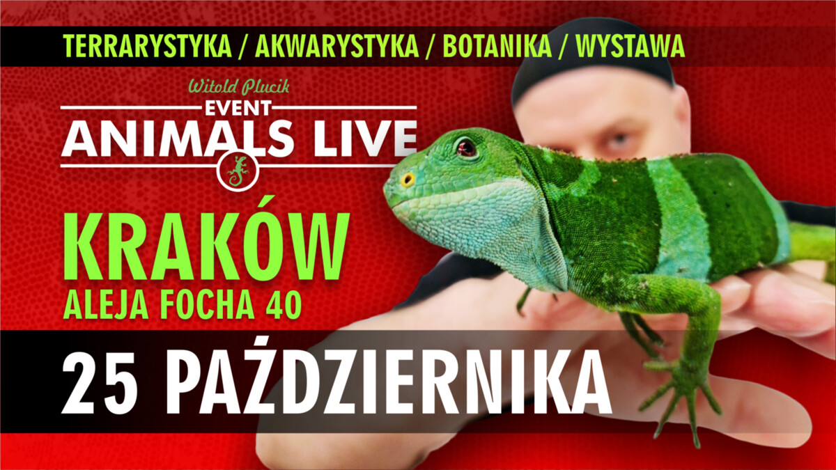 Animals Live KRAKÓW - 25 Października 2026 - TERRARYSTYKA & AKWARYSTYKA & BOTANIKA & WYSTAWA, plakat wydarzenia