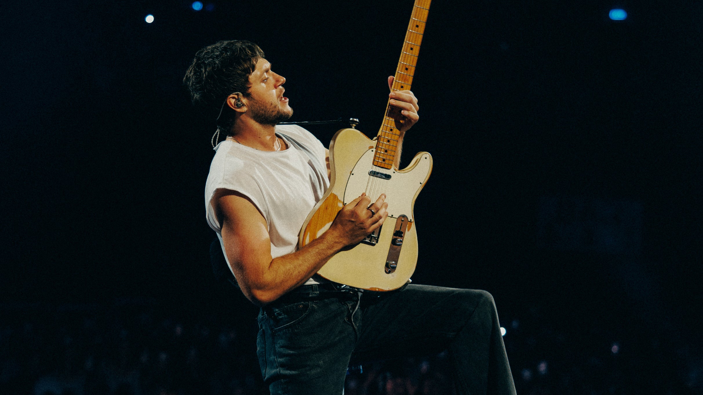 Niall Horan: Dinner Party Live On Tour, plakat wydarzenia