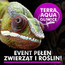 TERRA AQUA, plakat wydarzenia