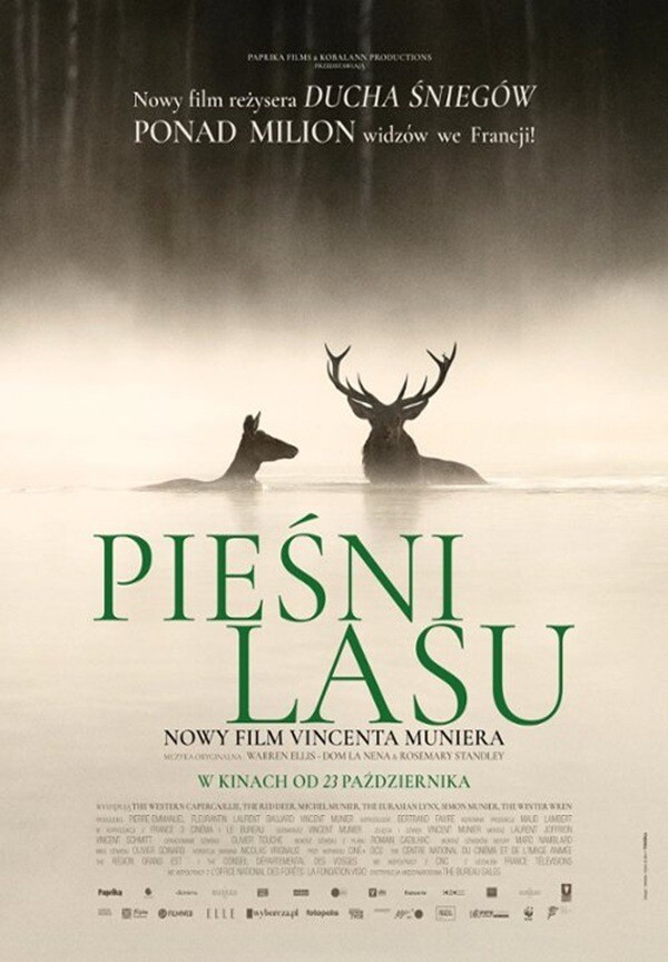 Pieśni lasu/Kino przy Okólnej, plakat wydarzenia
