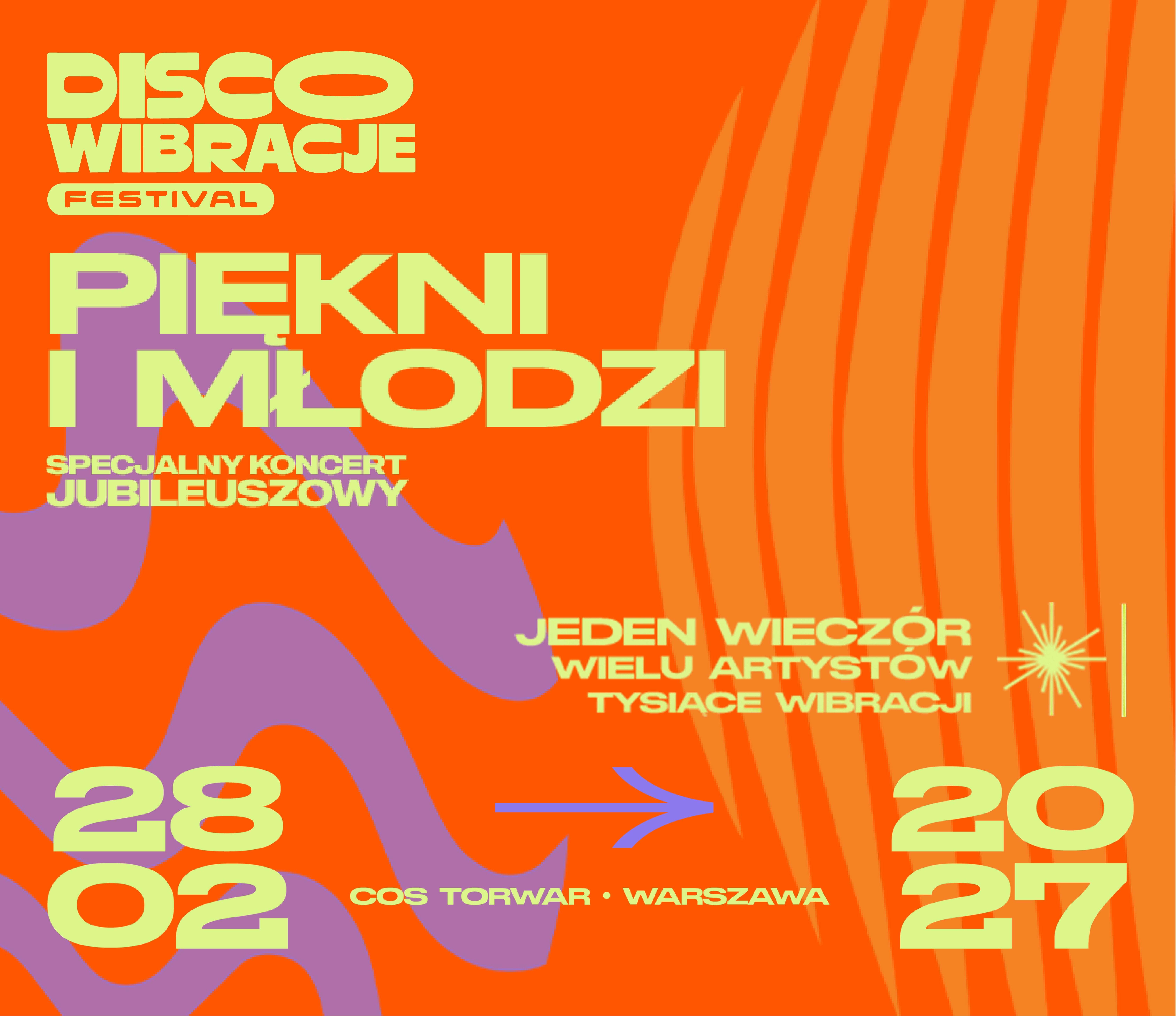 Disco Wibracje Festival, plakat wydarzenia