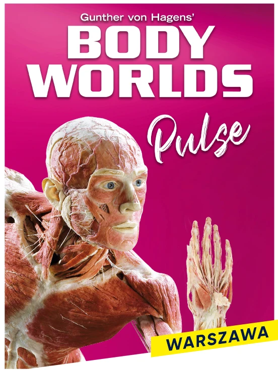 BODY WORLDS PULSE - Warszawa