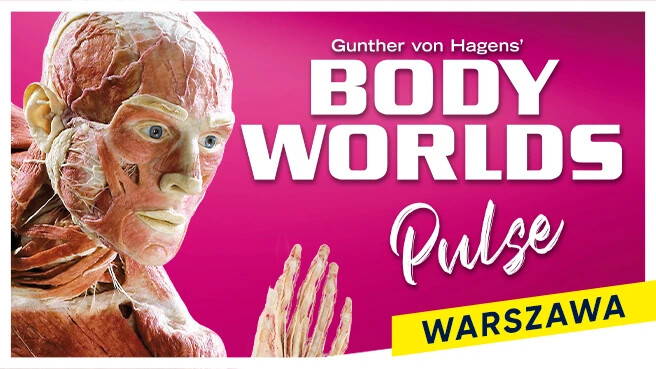 BODY WORLDS PULSE - Warszawa, plakat wydarzenia