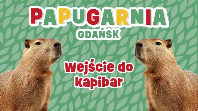 Bilety do Papugarni Gdańsk plus wejście do kapibar, plakat wydarzenia