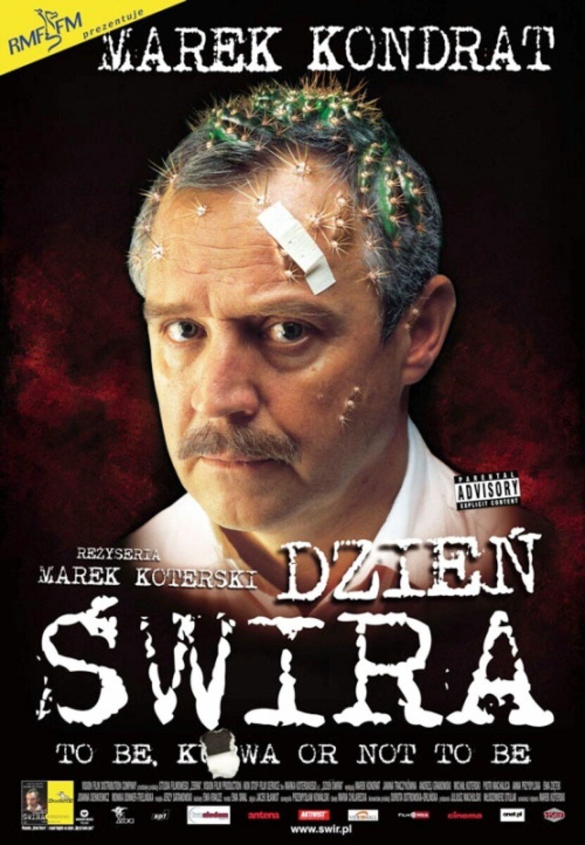 DZIEŃ ŚWIRAKAMERA, plakat wydarzenia