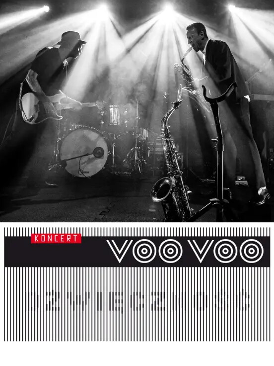 Voo Voo „Dźwięczność”, plakat wydarzenia