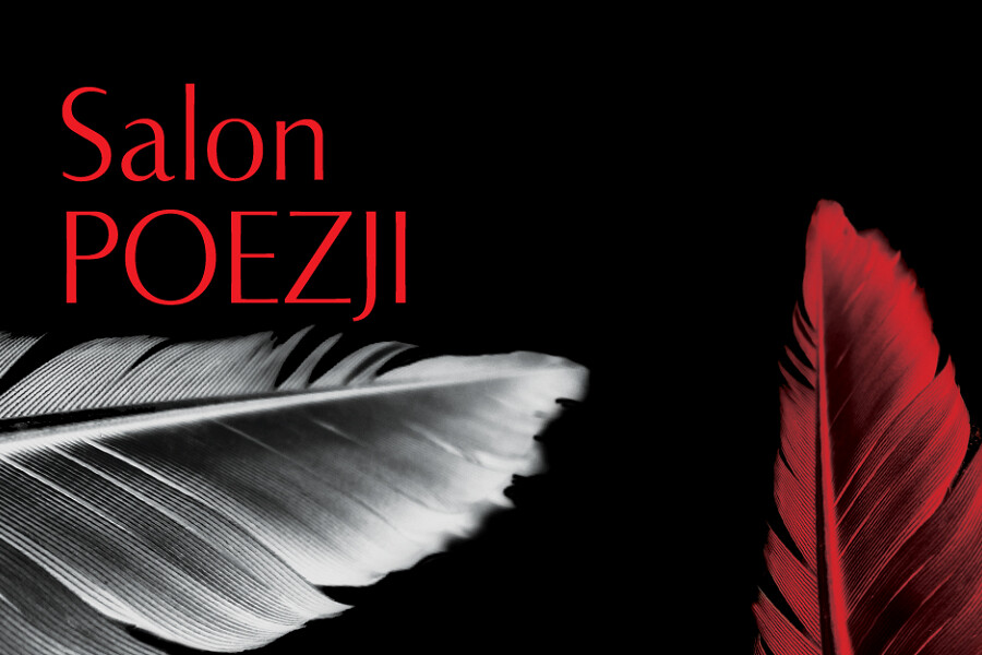 SALON POEZJI. Francja - "Miłość, miasto i światło", plakat wydarzenia