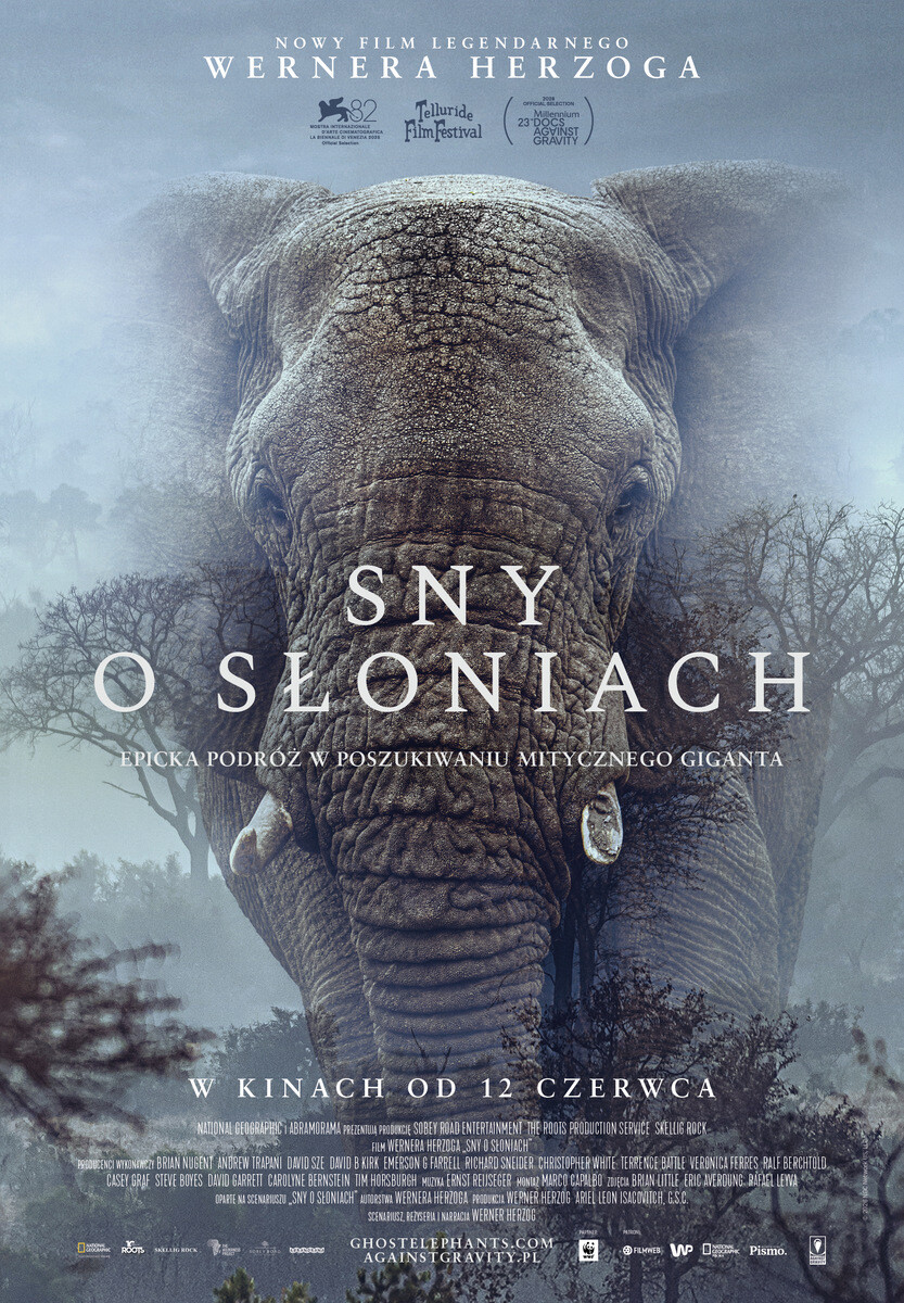 Sny o słoniach