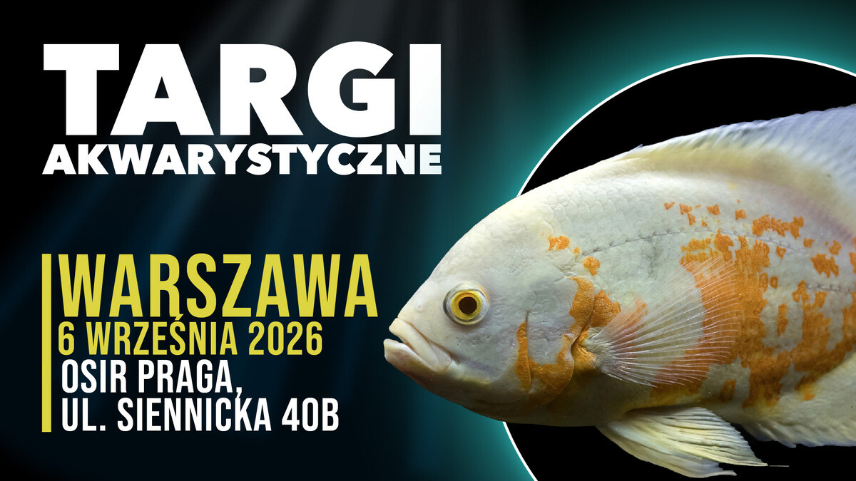 Targi Akwarystyczne Warszawa