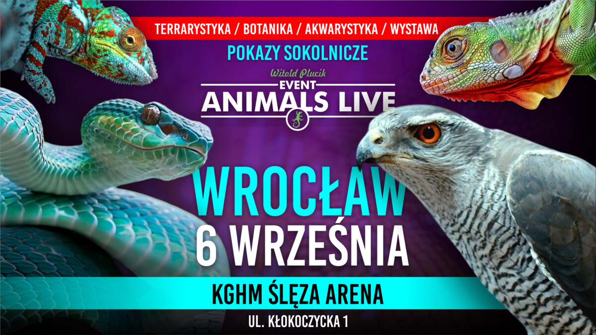 Animals Live Wrocław 06 Września 2026 - Terrarystyka & Sokolnicy & Akwarystyka & Botanika