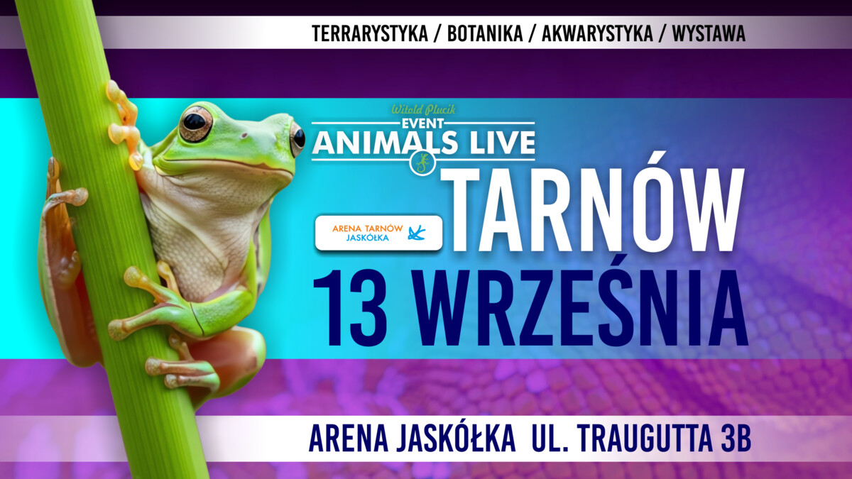 Animals Live TARNÓW 13 Września 2026 - TERRARYSTYKA & AKWARYSTYKA & BOTANIKA & WYSTAWA