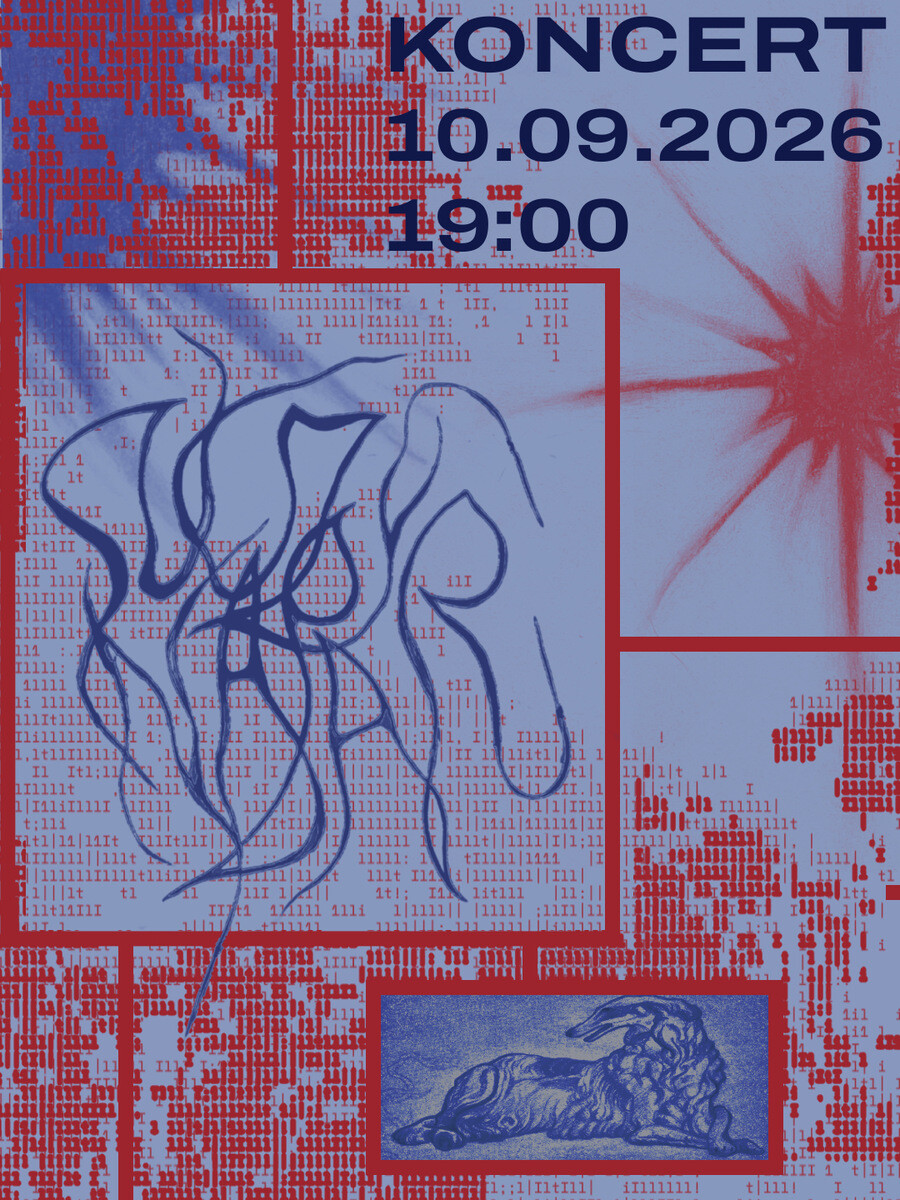 Koncert zespołu Suczy Napar, plakat wydarzenia
