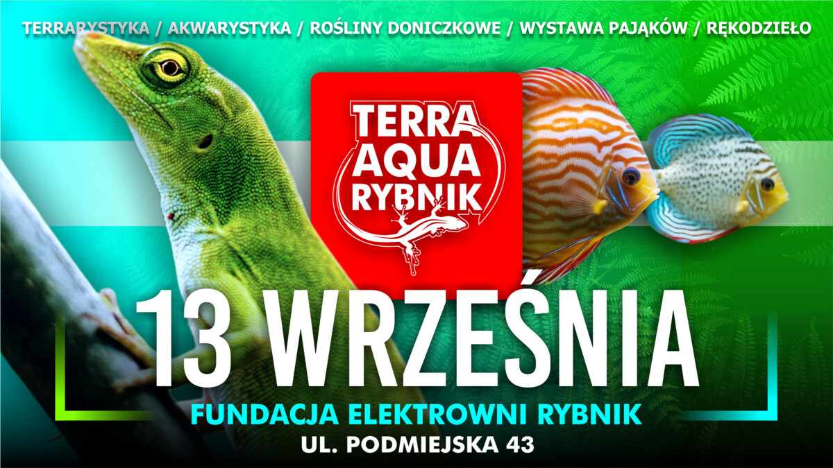 Terra Aqua Rybnik / Targi akwarystyki / Wystawa pająków / Rośliny doniczkowe