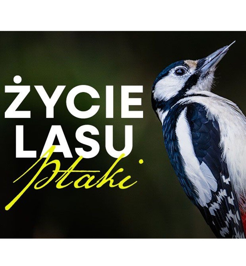 Leśne Studio Filmowe: ŻYCIE LASU - PTAKI, plakat wydarzenia