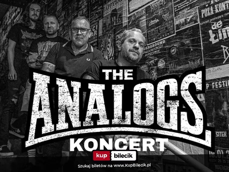 Koncert The Analogs Suwałki
