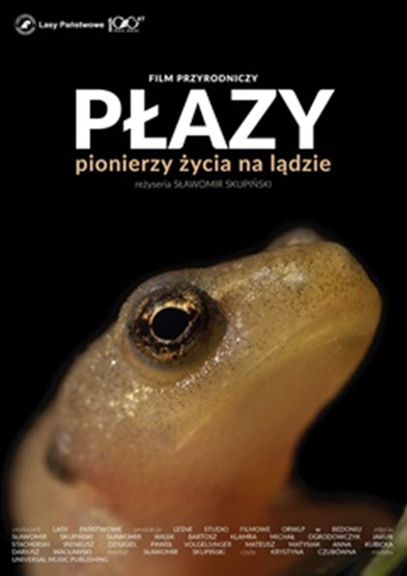 Leśne studio filmowe: PŁAZY. PIONIERZY ŻYCIA NA LĄDZIE, plakat wydarzenia