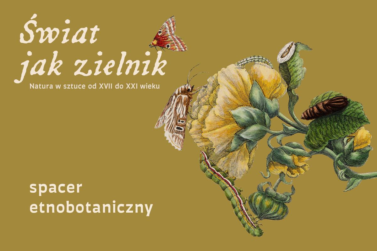 „Świat jak zielnik. Natura w sztuce od XVII do XXI wieku” - SPACER ETNOBOTANICZNY DLA RODZIN, plakat wydarzenia