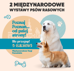 2 International Dog Shows