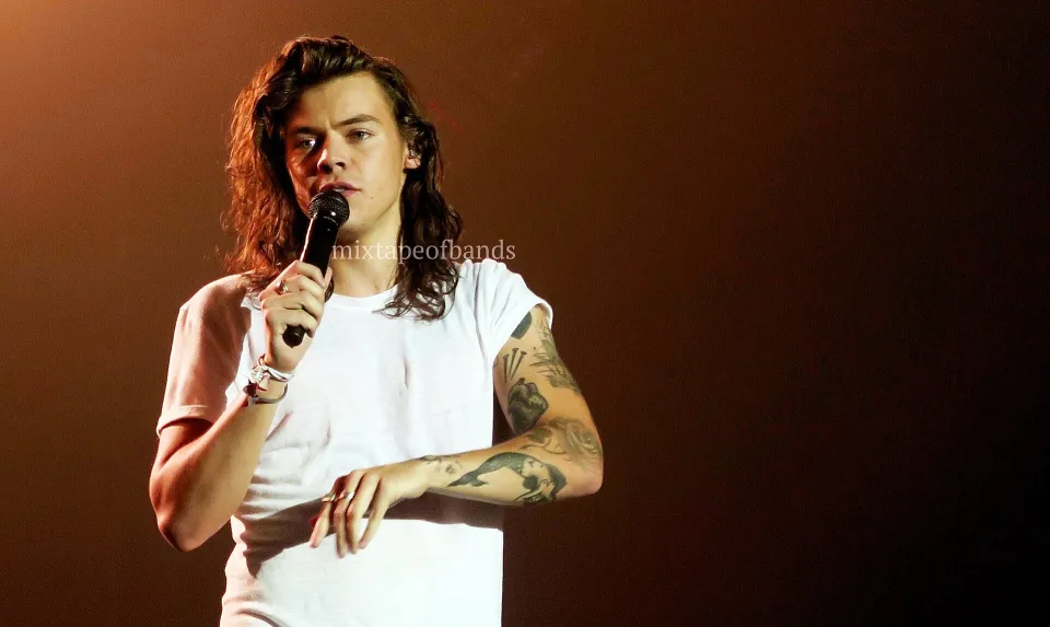 Z One Direction, On the Road Again Tour 2015