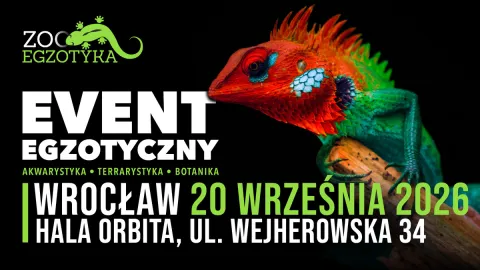 ZooEgzotyka