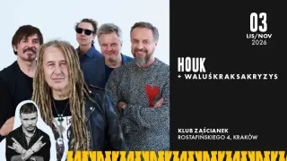 HOUK + WaluśKraksaKryzys - zdjęcie 1
