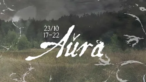 aûra + Babina Leta, Stereometrix LIVE, Hazy Flora, Samogulov, Pasha Plaha