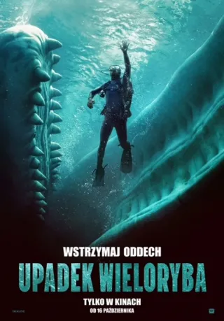 Upadek wieloryba - zdjęcie 1