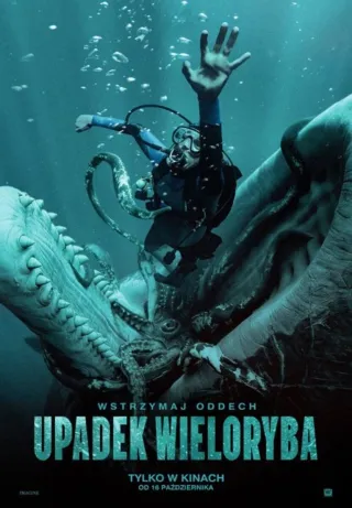 Upadek wieloryba - zdjęcie 2