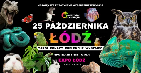 ŁÓDŹ 25 PAŹDZIERNIKA - EGZOTYCZNE ZWIERZĘTA