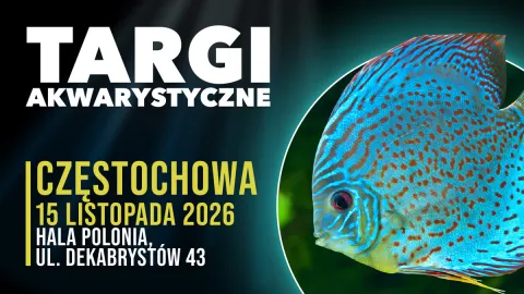 Targi Akwarystyczne Częstochowa
