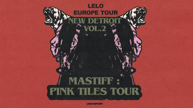 Lelo: Pink Tiles Tour