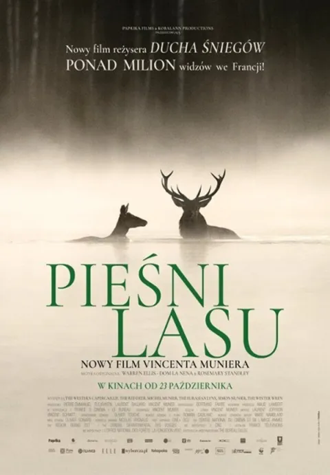 Pieśni lasu/Kino przy Okólnej