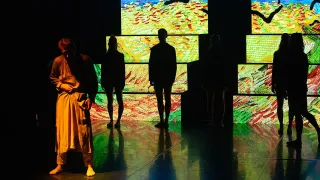 Balet VAN GOGH – obraz w ruchu - zdjęcie 3