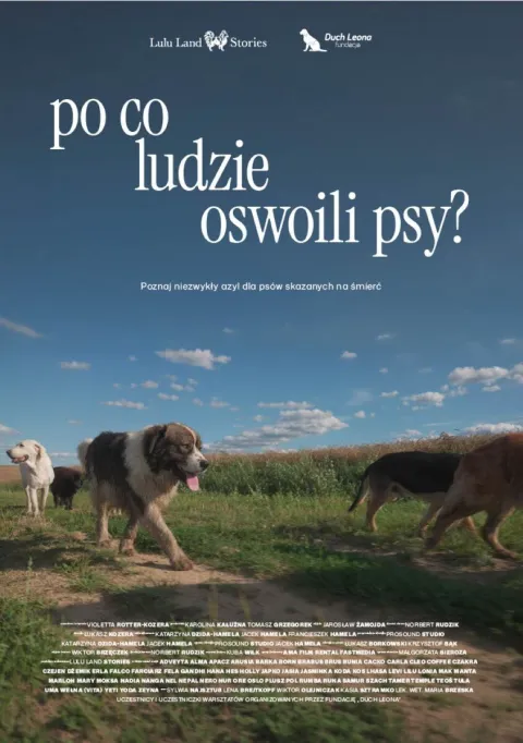 Po co ludzie oswoili psy?