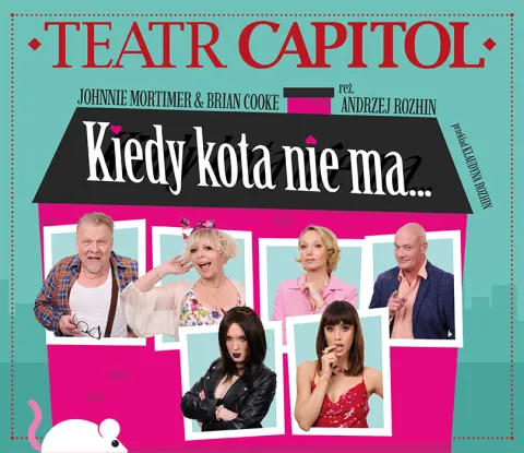 Kiedy kota nie ma...