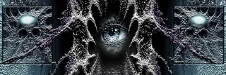 Ecdysis: 2033 - zdjęcie 2