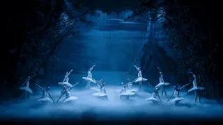 Jezioro łabędzie - United Ballet London - zdjęcie 3