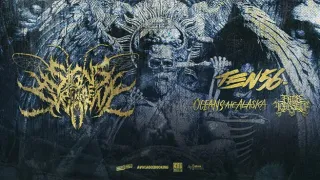 Sings Of The Swarm - zdjęcie 2