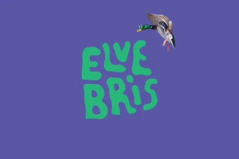 ELVEBRIS 2027 - FESTIVALPASS